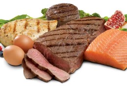 Zu viel Protein schädlich für die Nieren?