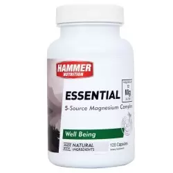 Hammer Essential
