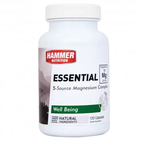 Hammer Essential Hammer Essential