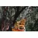 Chimpanzee Energy Bar Testpaket Chimpanzee Energy Bar Testpaket