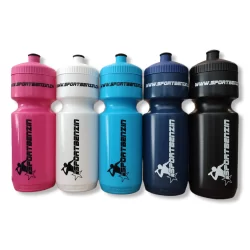 SPORTBENZIN Bidon 700 ml jetzt online bestellen