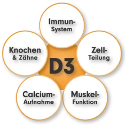 ProFuel Vitamin D3 + K2 Tropfen | online bestellen