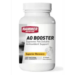 Hammer Nutrition AO Booster zur Unterstützung des Immunsystems, Sehvermögens, des Hautbildes und reduziert Muskelkater.