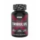 Weider Premium Tribulus fournit un énorme 1800 mg d'extrait de Tribulus Terrestris par portion. Weider Premium Tribulus fournit un énorme 1800 mg d'extrait de Tribulus Terrestris par portion.
