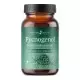 Effective Nature Pycnogenol | Delivery in 24 h Effective Nature Pycnogenol | Delivery in 24 h