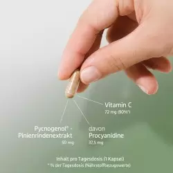 Effective Nature Pycnogenol | Delivery in 24 h