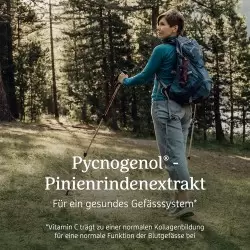 Effective Nature Pycnogenol | Delivery in 24 h