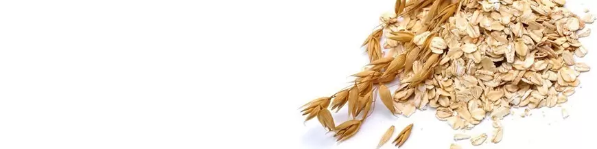Oats Online Shop Switzerland