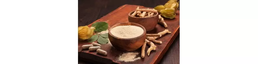Ashwagandha Produkte - jetzt online bestellen