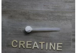 Creatin – sinnvoll oder nicht?