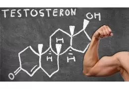Auswirkung von Testosteron auf den Muskelaufbau und Fettabbau Auswirkung von Testosteron auf den Muskelaufbau und Fettabbau
