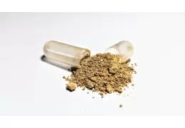 Was ist Ashwagandha?