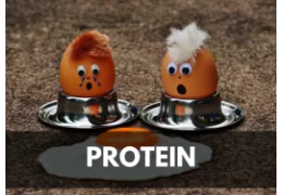 Wie viel Protein ist für den Muskelaufbau nötig?